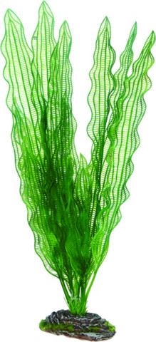 Aquarium Plastikpflanze Aponogeton, 39 cm