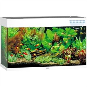 125 Liter Juwel Aquarium MODELL RIO 125 LED Weiß L. 81 x B. 36 x H. 50 cm