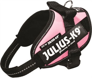 Julius K9 IDC - Hundegeschirr - Brustumfang 29 bis 36 cm rosa Str. Baby 1