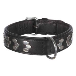 Trixie Active Halsband mit Nieten für Hunde - 55 bis 65 cm - 40 mm - schwarz